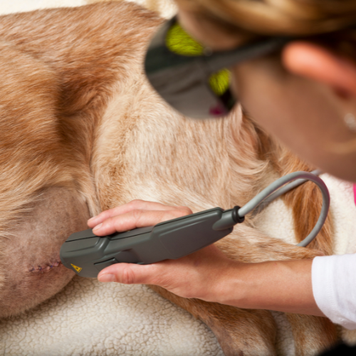 laser therapy