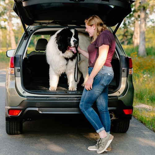 Girl with dog in car