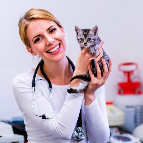 What-is-Orthopedic-Surgery-for-section-min What-is-Orthopedic-Surgery-for-section